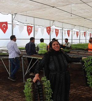Urfa’da Çiftçilere Binlerce Urfa Biberi Fidesi Dağıtıldı