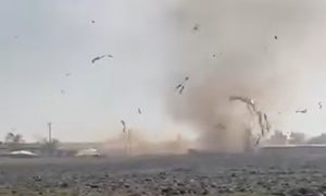 Urfa’da Hortum Dehşeti! Ev ve Ahır Yerle Bir Oldu