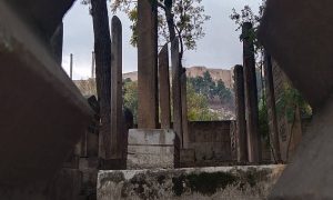 Urfa’da Vefat Listesi Açıklandı! Kaç Kişi Yaşamını Yitirdi?