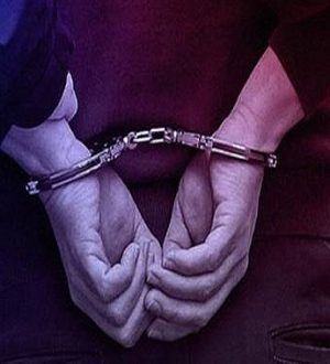 Urfa Dahil Üç İlde Sahte Rapor Operasyonunda 11 Kişi Tutuklandı