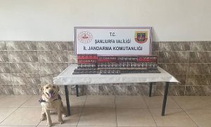 Viranşehir’de Jandarmadan Kaçak Sigara Operasyonu!