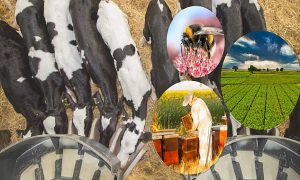 5.1 Milyar Liralık Destekleme Ödemesi Hesaplara Aktarılıyor