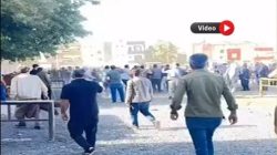 Urfa’nın İlçesinde Hayvan Pazarında Taşlı Sopalı Kavga: 4 Yaralı