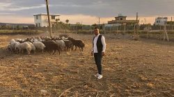 Başkan Ahmet Batur’dan Kırsal Üreticiye Destek Ziyareti: “Tarım ve Hayvancılıkta Çöküş, Ekonomiyi Durdurur”