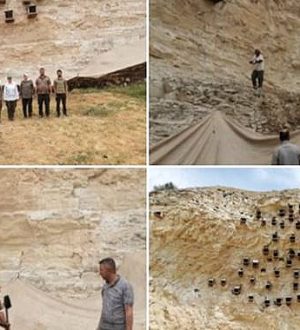 Birecik’te Kelaynak Yavruları İçin Örnek Önlem