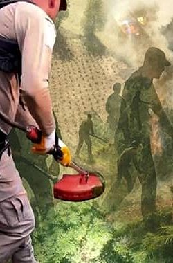 Dev Operasyon: 70 Ton Toz Esrara Eşdeğer Kenevir Ele Geçirildi