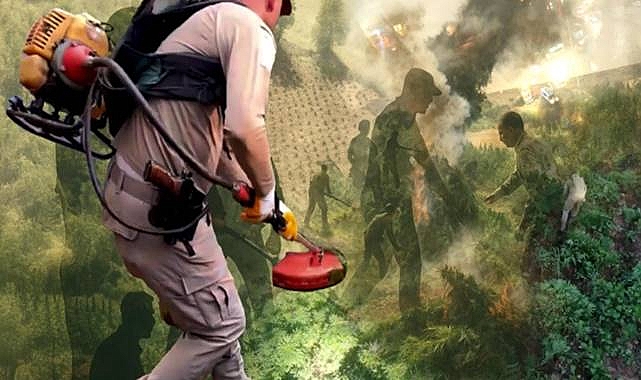  Dev Operasyon: 70 Ton Toz Esrara Eşdeğer Kenevir Ele Geçirildi