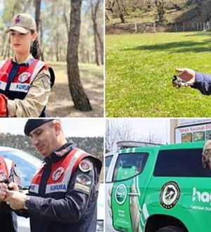 Jandarma Yaralı Kanatlı Dostları Unutmadı