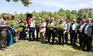 Karaköprü’de Ata Tohumları Hayat Buluyor