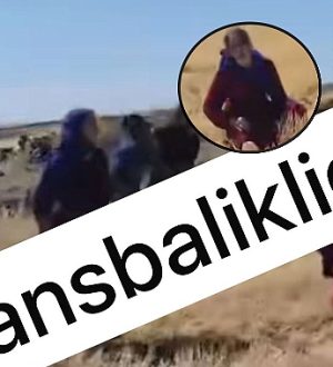 Şanlıurfa’da Arazi Kavgası: 5’şi Kadın 6 Yaralı