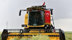 Şanlıurfa’da Hasat Dönemi Başlıyor! Valilikten Uyarı Geldi