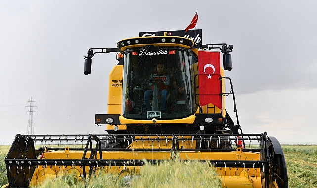  Şanlıurfa’da Hasat Dönemi Başlıyor! Valilikten Uyarı Geldi