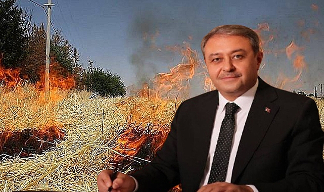  Şanlıurfa’da Hububat Hasadı Başladı: Vali Şıldak’tan Üreticilere Uyarı!