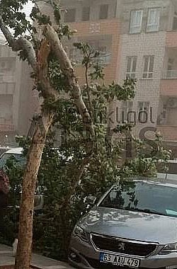 Şanlıurfa’da Kuvvetli Rüzgar ve Fırtına Uyarısı!