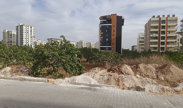  Şanlıurfa’da Tarım Arazileri Betonlaşıyor: Fıstık Bahçeleri Yerini Binalara Bırakıyor