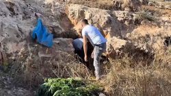 Şanlıurfa’da Uyuşturucu Operasyonu!