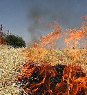 Şanlıurfa Valiliği’nden Uyarı: Bunu Yapan Çiftçiler Yandı