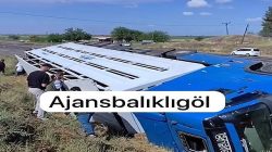 Siverek’te Canlı Hayvan Yüklü Tır Devrildi: 1 Yaralı