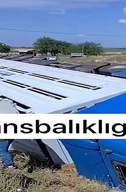 Siverek’te Canlı Hayvan Yüklü Tır Devrildi: 1 Yaralı