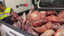 Urfa’da Gümrük Kaçağı Ve Bozulmuş Et Ele Geçirildi