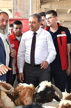 Urfa’da İlçe İlçe Kurban Satış ve Kesim Yerleri Belli Oldu