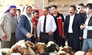 Urfa’da İlçe İlçe Kurban Satış ve Kesim Yerleri Belli Oldu