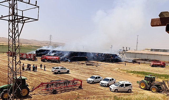  Akçakale Yolu’nda Yangın: Fabrikaya Sıçramadan Kontrol Altına Alındı