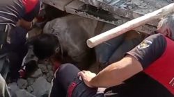 Bozova’da Duvar Çöktü: 1’i Ağır 4 İşçi Yaralandı