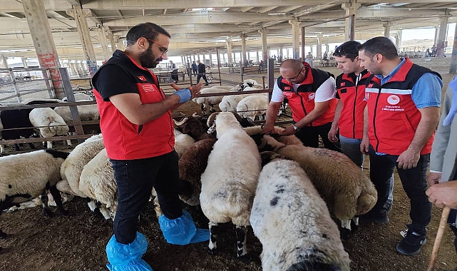  Şanlıurfa’da Hayvan Sağlığı İçin Denetimler Sürüyor