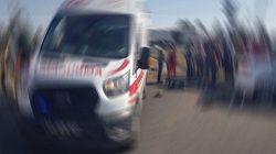Siverek’te “Hayvan Tarlaya Girdi” Kavgası: 9 Yaralı!