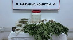 Suruç’ta Uyuşturucu Operasyonu: Kenevir ve Esrar Ele Geçirildi