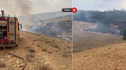 Urfa’da Orman Yangını: Müdahale Sürüyor, Helikopter Destek Veriyor