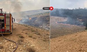 Urfa’da Orman Yangını: Müdahale Sürüyor, Helikopter Destek Veriyor