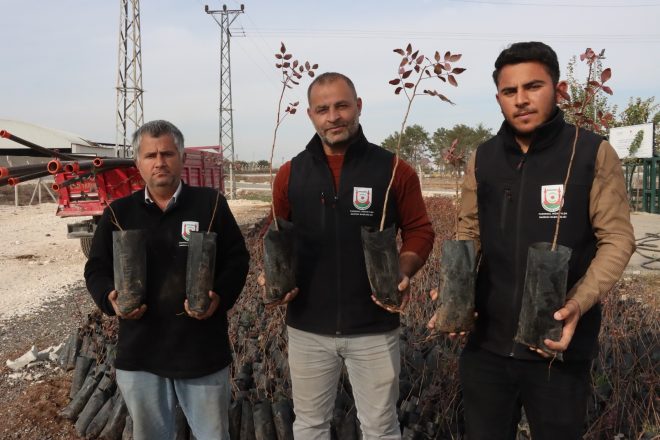 Şanlıurfa’da Çiftçilere 35 Bin Fıstık Fidanı Desteği