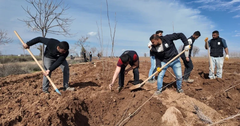  ŞANLIURFA BÜYÜKŞEHİR BELEDİYESİ’NDEN 20 BİN ÇINARLIK YEŞİL HAMLE