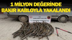 Ceylanpınar’da Milyonluk Kablo Hırsızlığı: Jandarmadan Suçüstü!