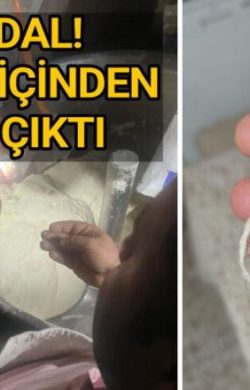 Haliliye’de bir fırındaki manzara şoke etti
