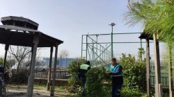 Daha Yeşil Bir Viranşehir İçin Sahadayız