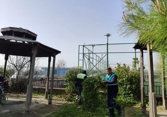  Daha Yeşil Bir Viranşehir İçin Sahadayız