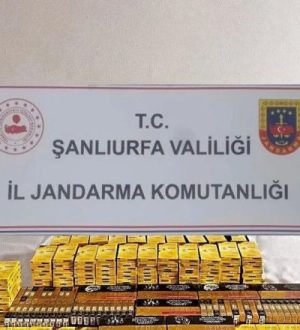 Şanlıurfa’da jandarmadan kaçakçılık operasyonu