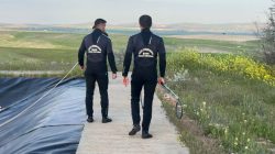 ŞUAK ekipleri gölete düşen tilkiyi kurtardı