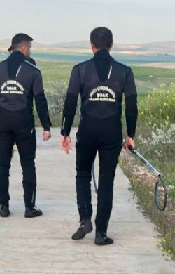 ŞUAK ekipleri gölete düşen tilkiyi kurtardı