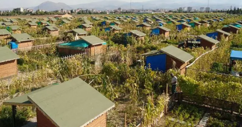 Hobi bahçelerinde yeni dönem