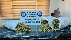 Şanlıurfa’da narkotik ekiplerinden başarılı operasyon