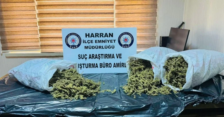  Şanlıurfa’da narkotik ekiplerinden başarılı operasyon